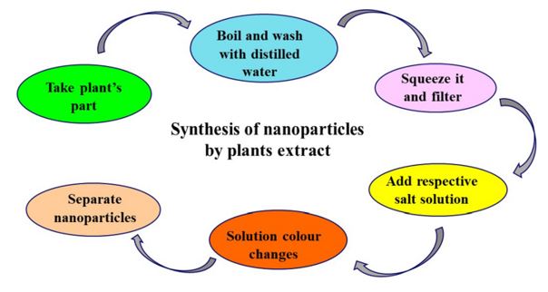 Green Synthesis of Nanoparticles