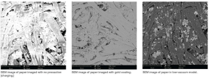 Step-by-Step Guide to Effective Sample Preparation for SEM Imaging - IM ...