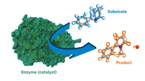 Green catalysis process using environmentally friendly chemical reactions for sustainable industrial applications