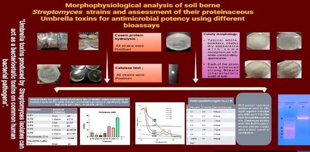 Prof Nazish Graphic